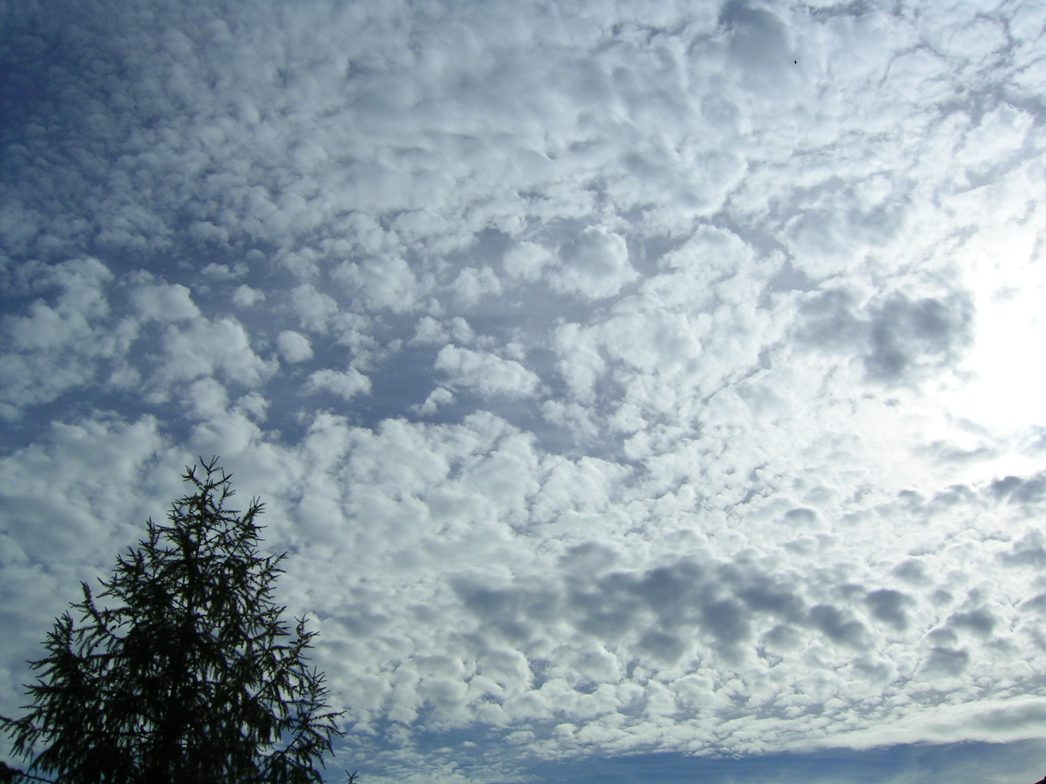 Altocumulus-Castellanus.jpg by Bidgee / CC BY-SA 3.0, image size:2048x1536